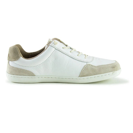 Doghammer Terrar Classic Offwhite