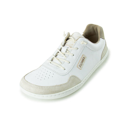 Doghammer Terrar Classic Offwhite