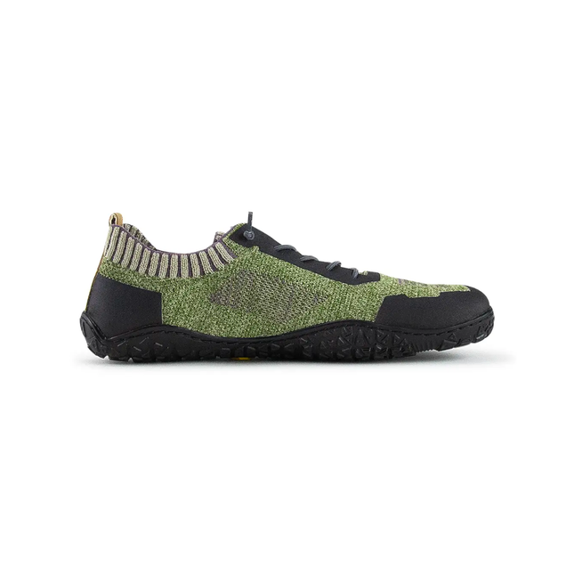 Doghammer Terrar Trail Knit Forrest