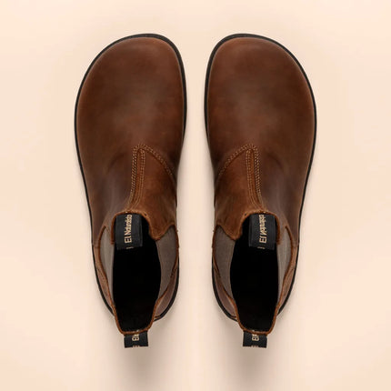 El Naturalista N5262 Arizona Terra Nomada