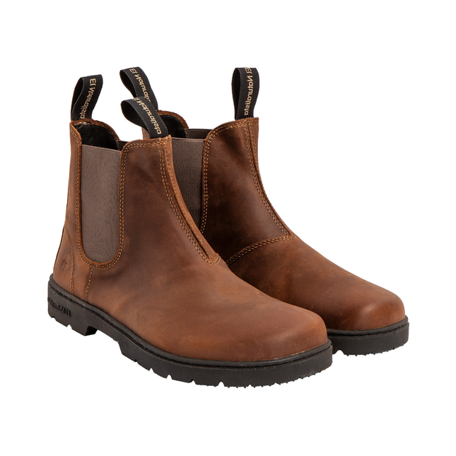 El Naturalista N5262 Arizona Terra Nomada