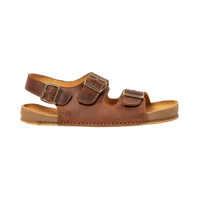 El Naturalista N6001 Arizona Terra Horizon