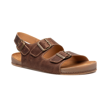 El Naturalista N6001 Arizona Terra Horizon