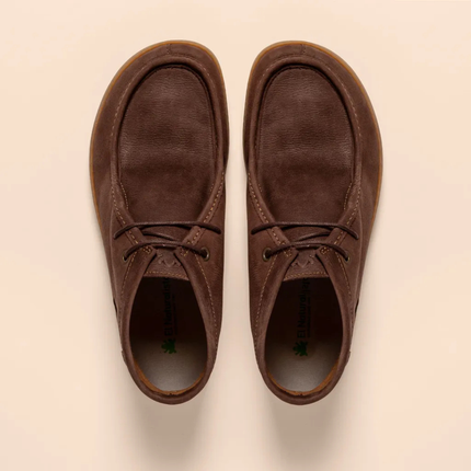 El Naturalista Origen Pleasant Brown N5917