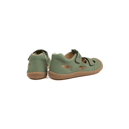 Koel Deen Napa Olive