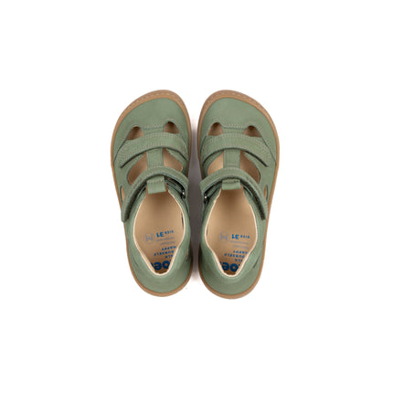 Koel Deen Napa Olive