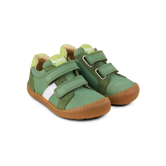 Koel Denis Napa New 3.0 Green Alface