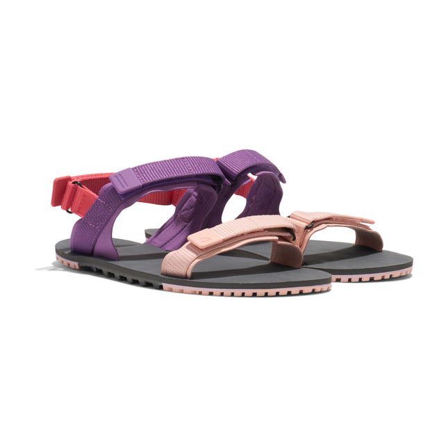 XeroShoes D-trail Black Dewberry Multi Vrouwen
